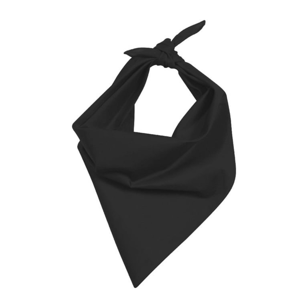 NWOT Black Bandana